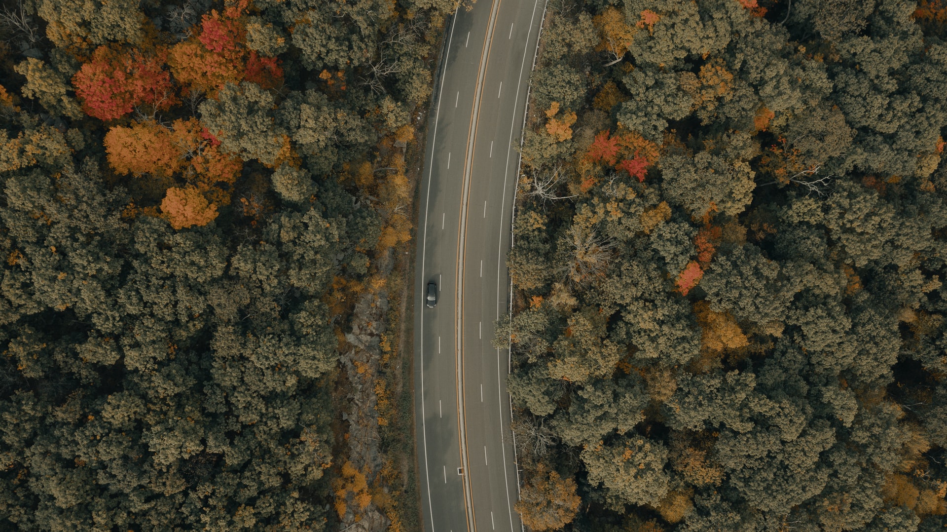 An ariel photo of a car driving down a road surronded by trees.