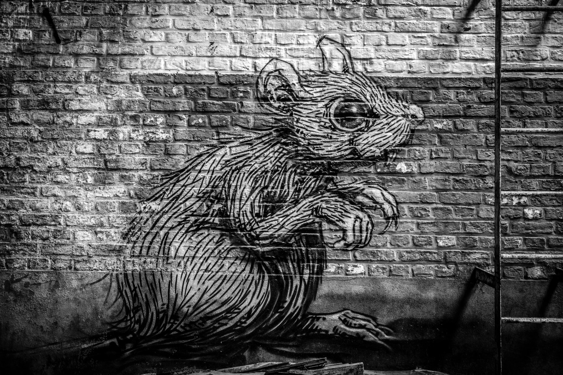 Photo of a brick wall with a rat painted on top.