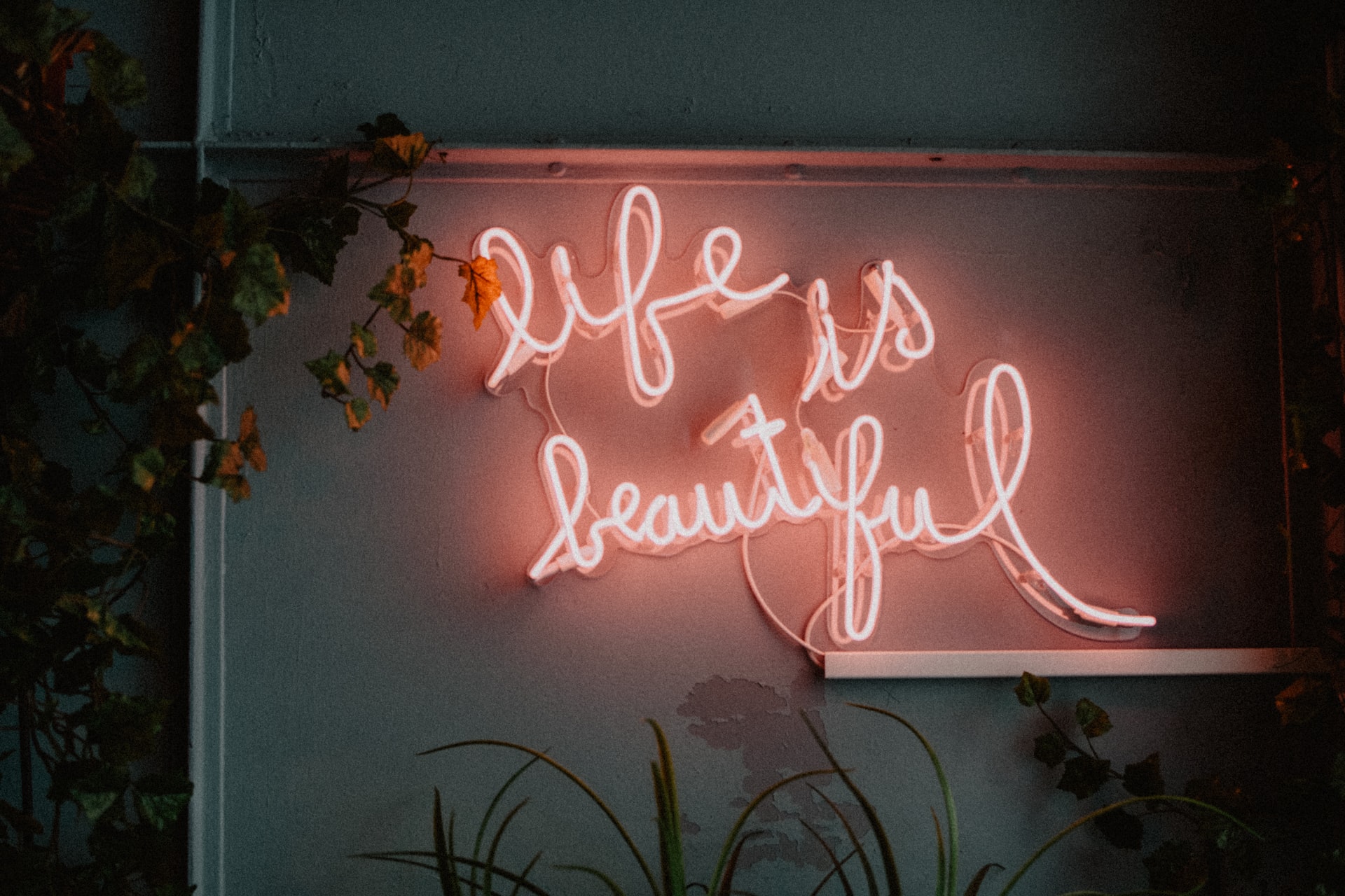 A photo of neon letters against a wall spelling, "Life Is beautiful."