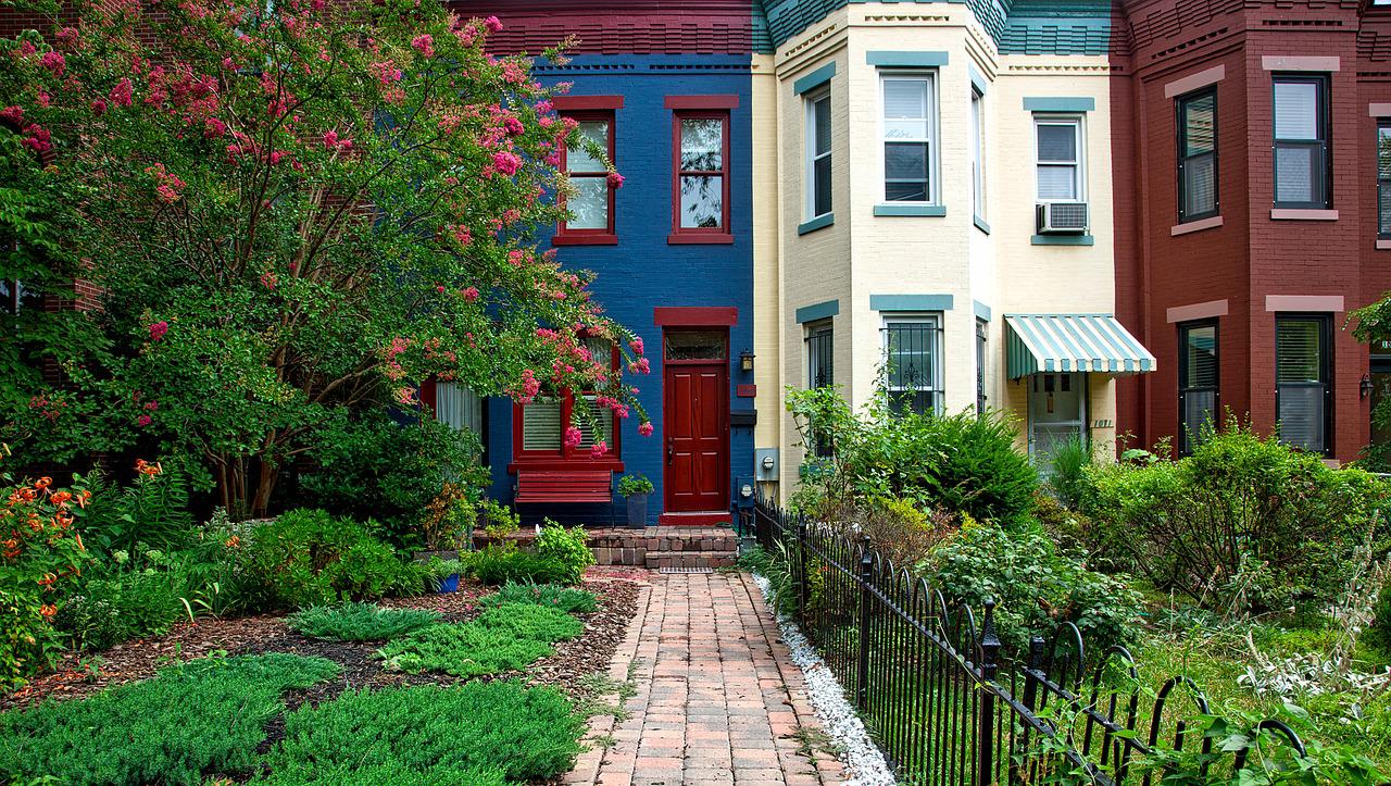 Muti-colored rowhouses in D.C.