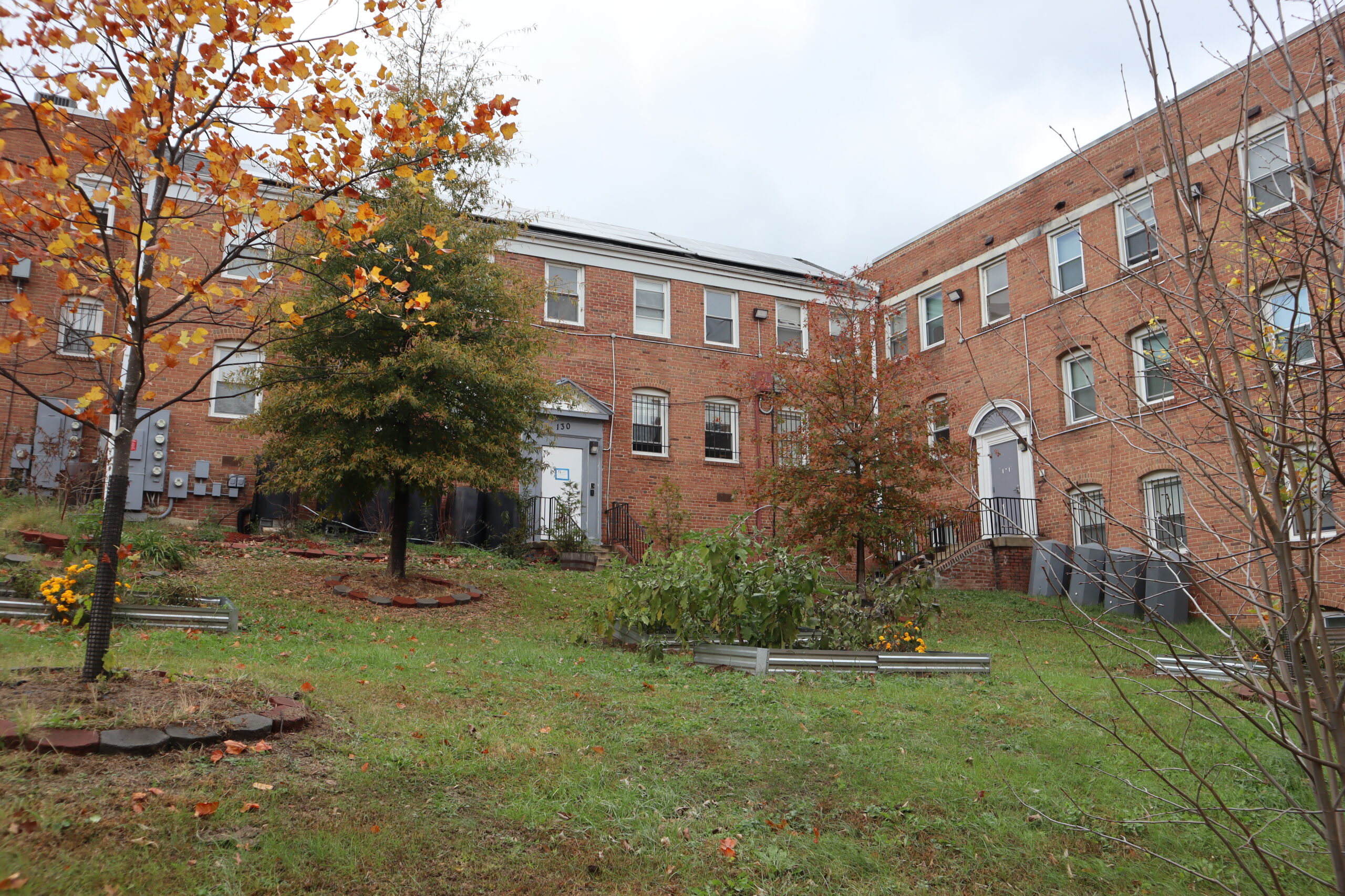 With youth LGBTQ+ homelessness rising, the Wanda Alston Foundation prepares to meet the demand